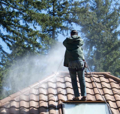 prolong roof cleaning