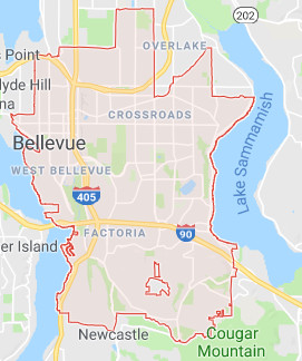 Bellevue roof cleaning territory map