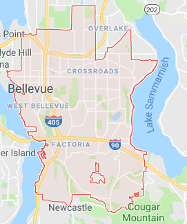 Bellevue roofers territory map
